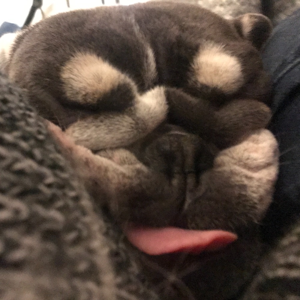 Meet your Posher, Lala